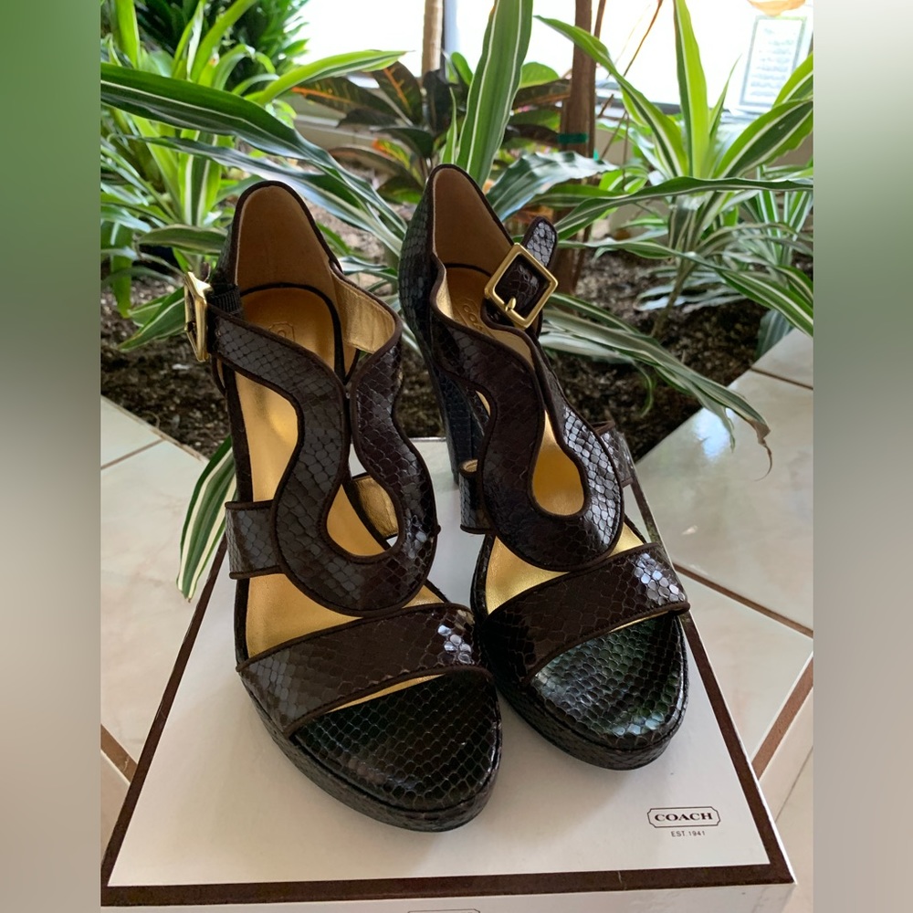 COACH IVANAH PYTHON/NUBUCK CHESTNUT BROWN SIZE 8M NEW IN BOX - Picture 2 of 16